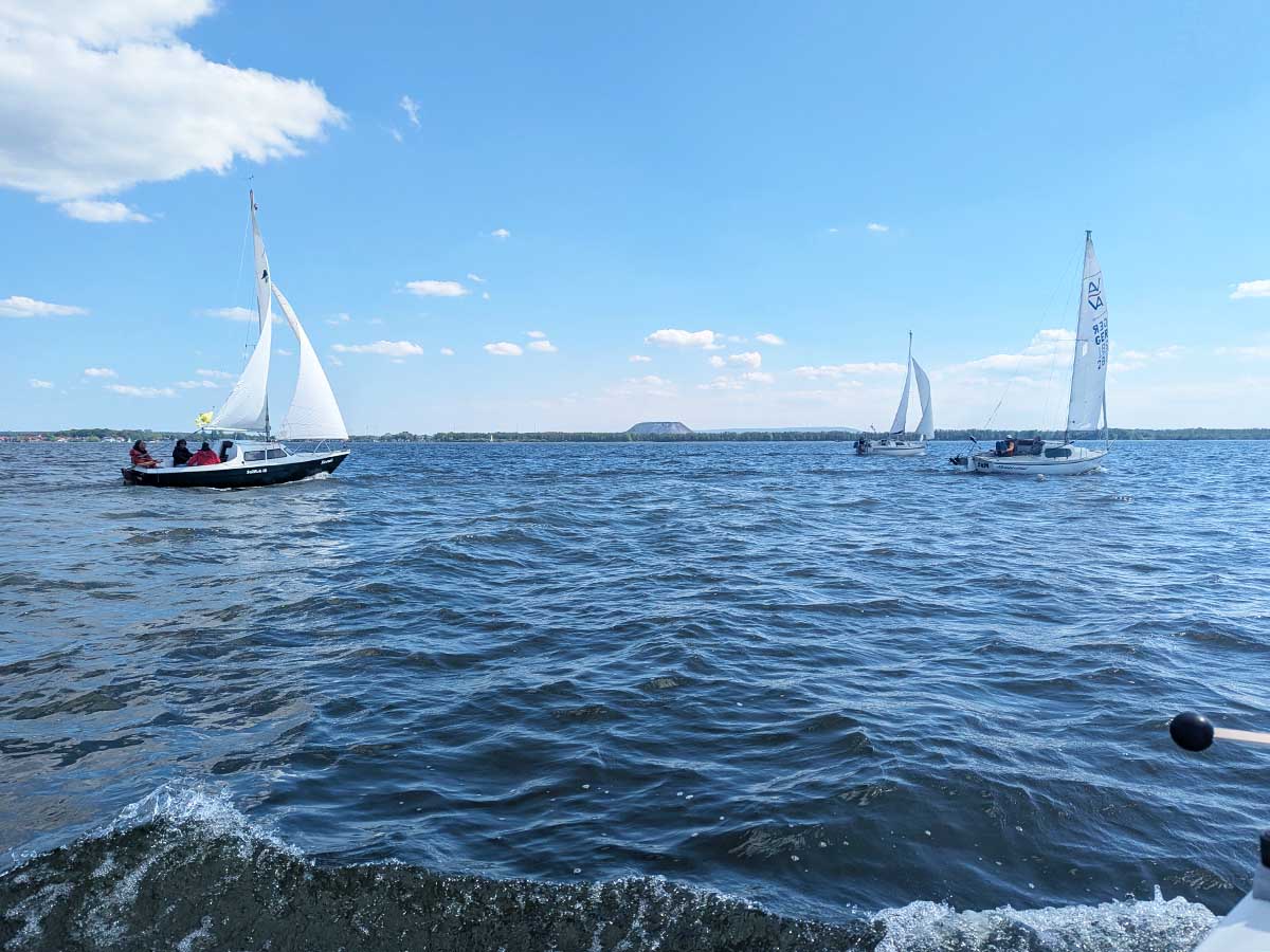 Drei Dickschiffe segeln bei sonnigem Wetter über das Steinhuder Meer.
